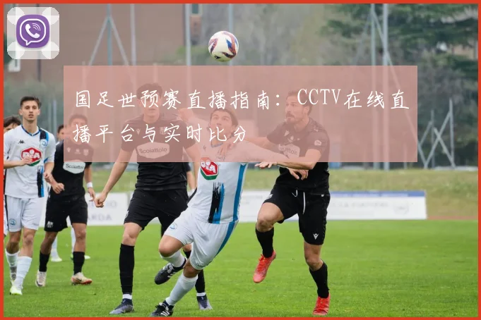 国足世预赛直播指南：CCTV在线直播平台与实时比分
